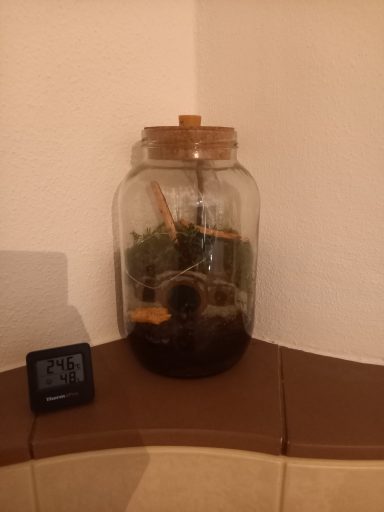 Meine kleine Welt