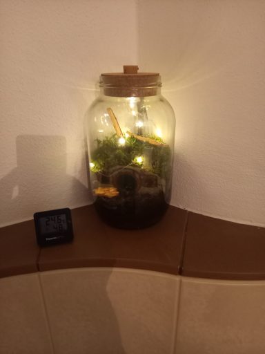Ein Licht geht auf